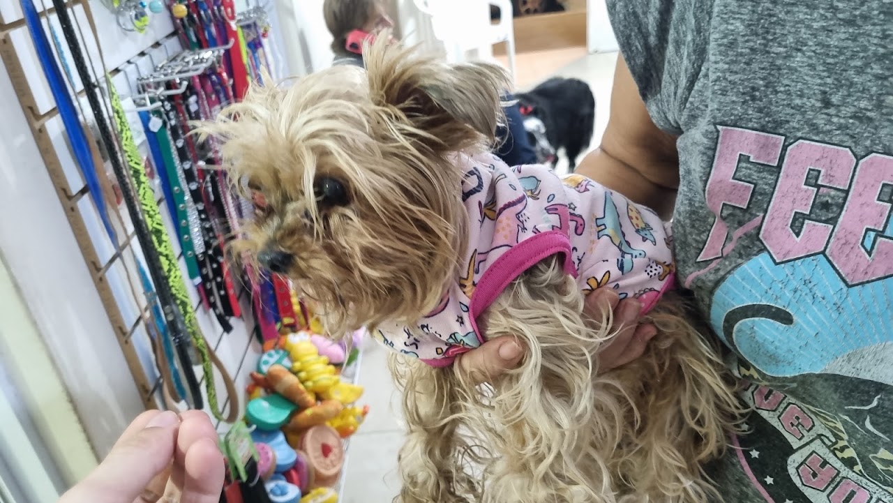 Paciente canino en la veterinaria